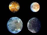 Jupiter's Galilean moons